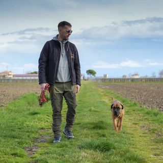 Persona e cane in un campo aperto