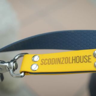 Guinzaglio ScodinzolHouse in cuoio blu e giallo