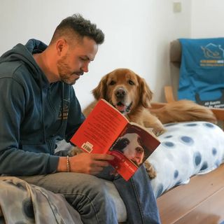 Un operatore ScodinzolHouse lavora in casa con un border collie