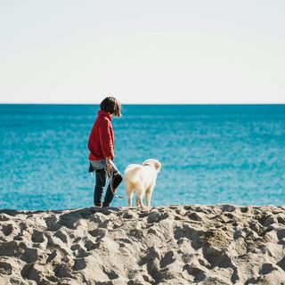 Persona e cane fermi sulla riva a guardare il mare