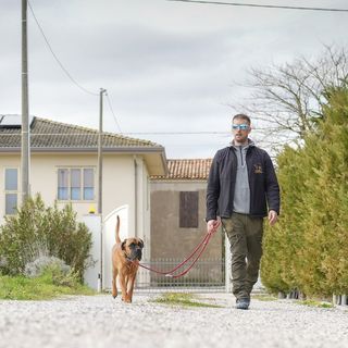 Un operatore ScodinzolHouse porta fuori un cane a metà giornata