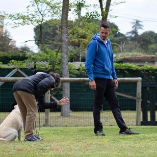 Due persone lavorano con due cani in un campo recintato