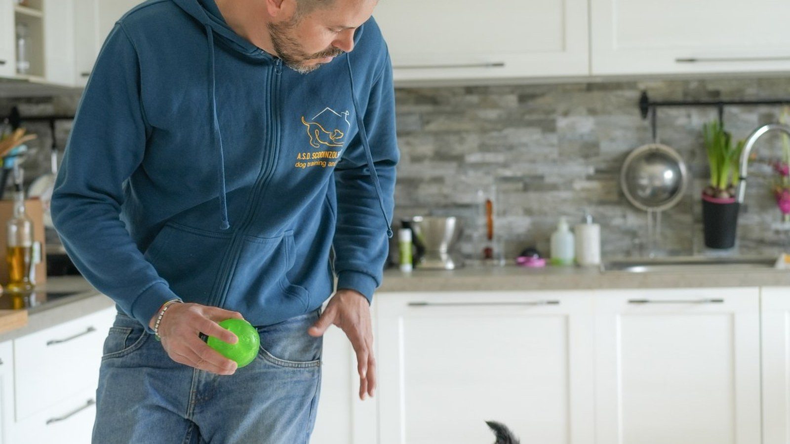 Un operatore ScodinzolHouse lavora in casa con un border collie