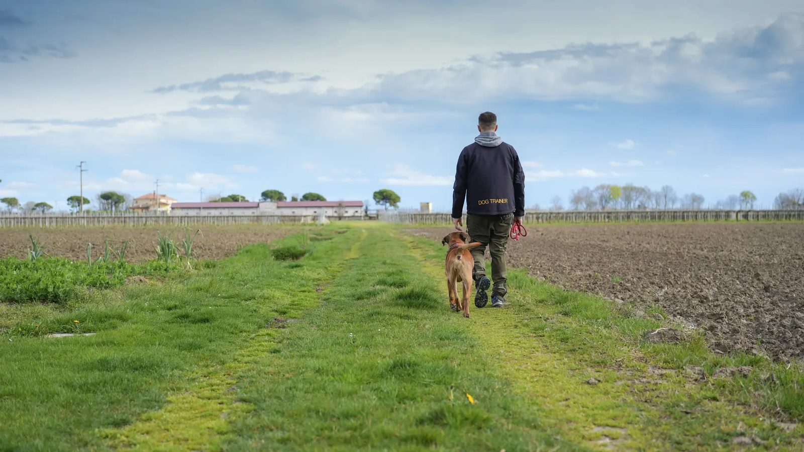 Persona e cane camminano su un prato sotto il cielo aperto