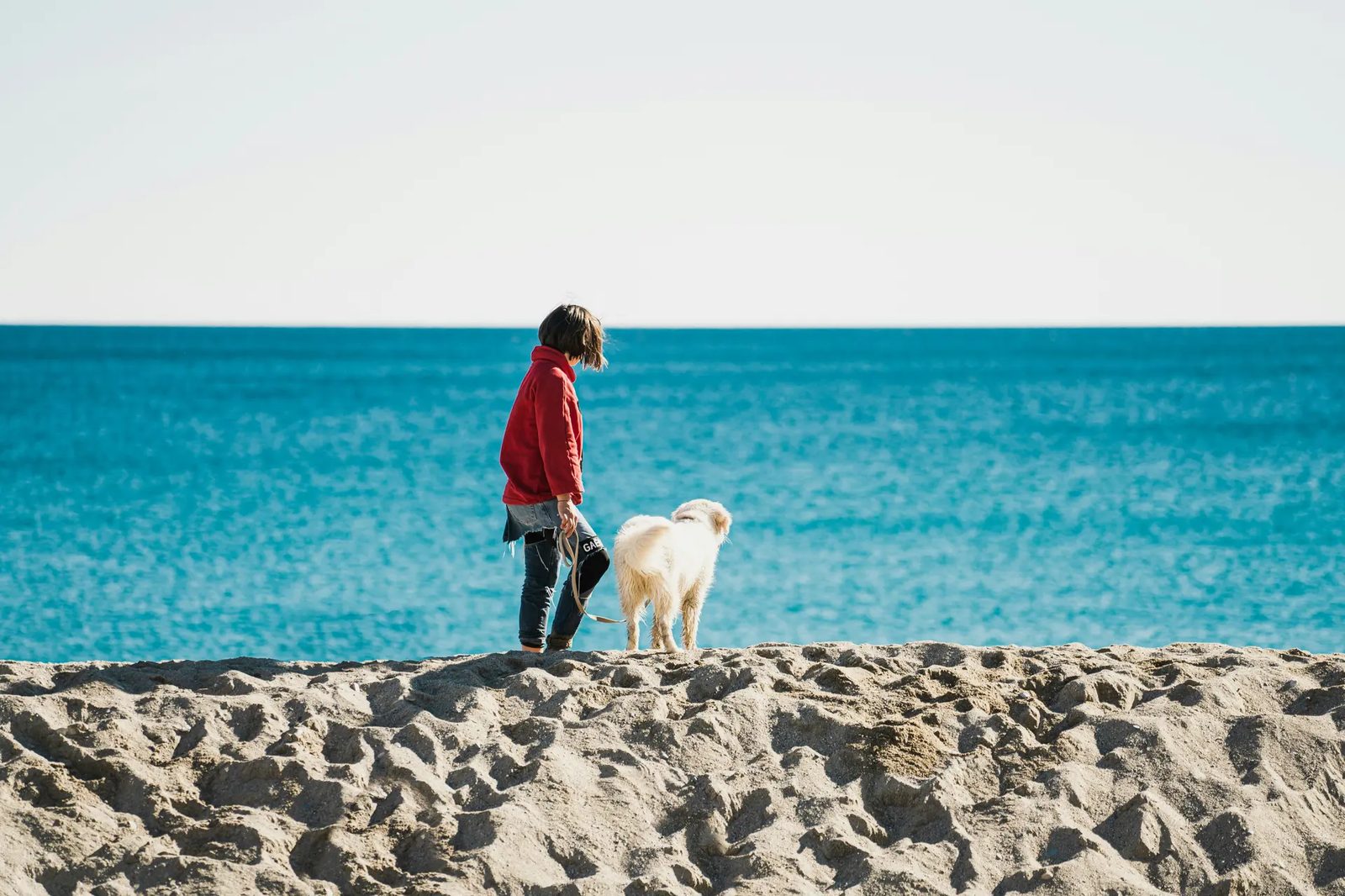 Persona e cane fermi sulla riva a guardare il mare
