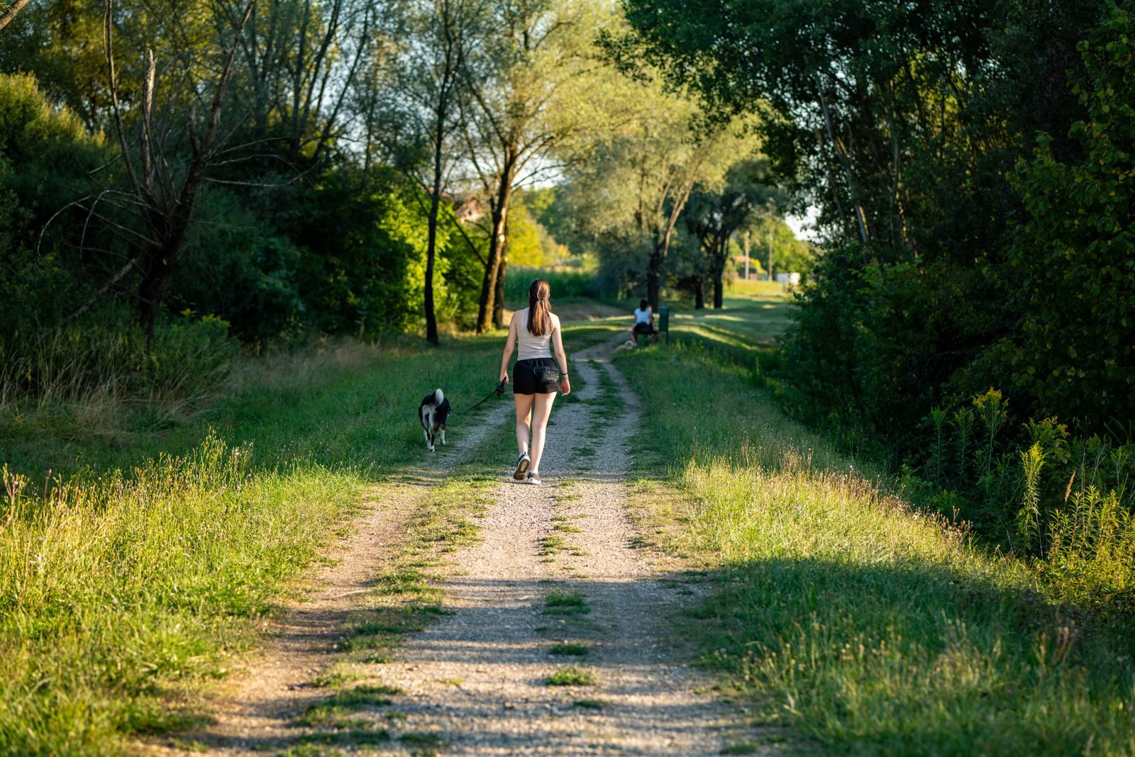 Ragazza che cammina con il cane al guinzaglio su un sentiero d’argine
