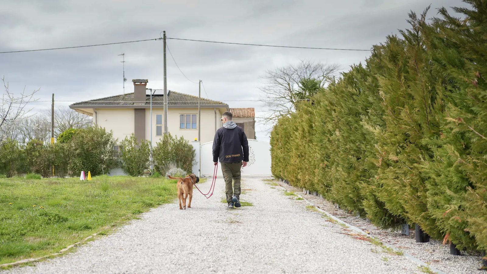 Cane al guinzaglio che cammina accanto alla persona